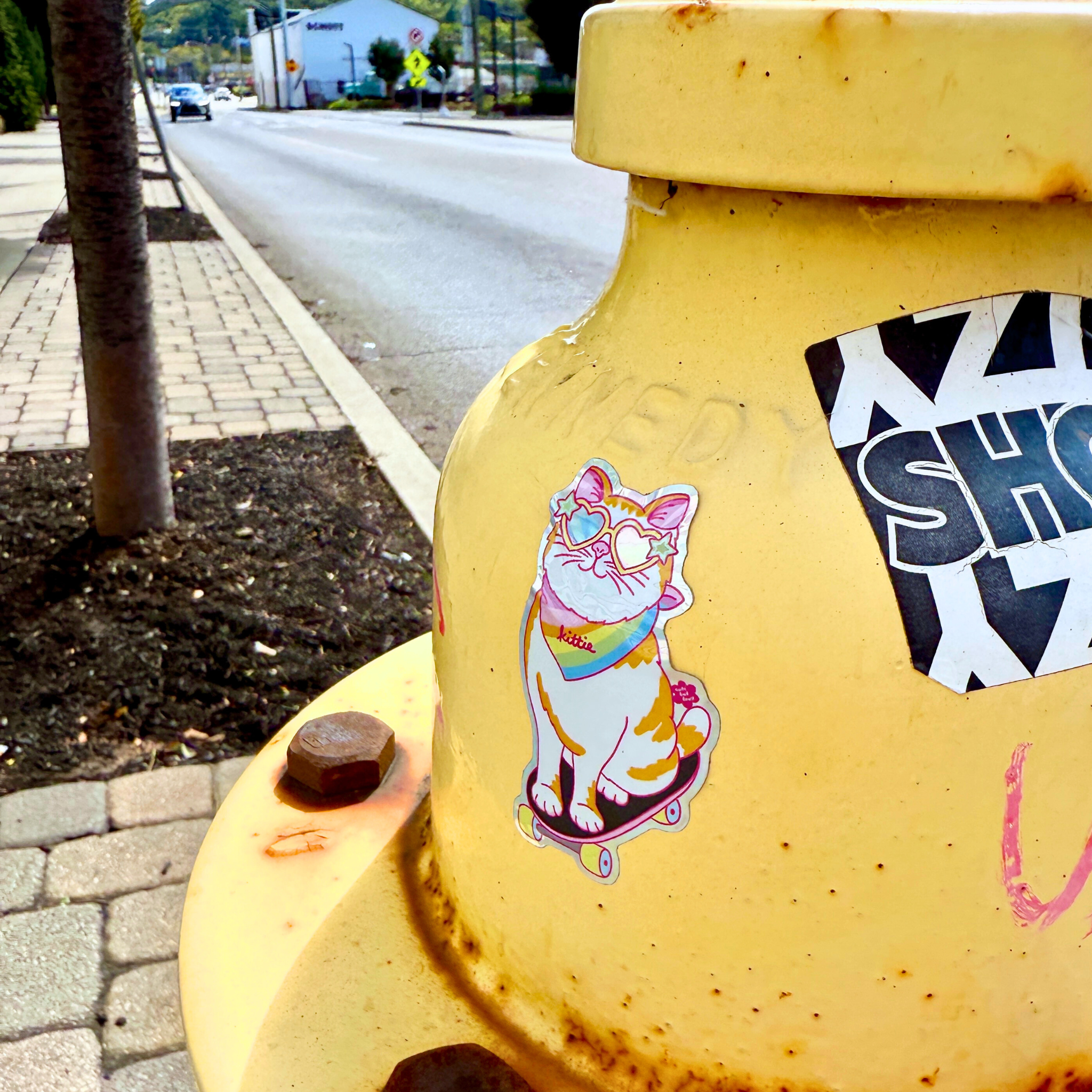 Skateboard Kitty Sticker